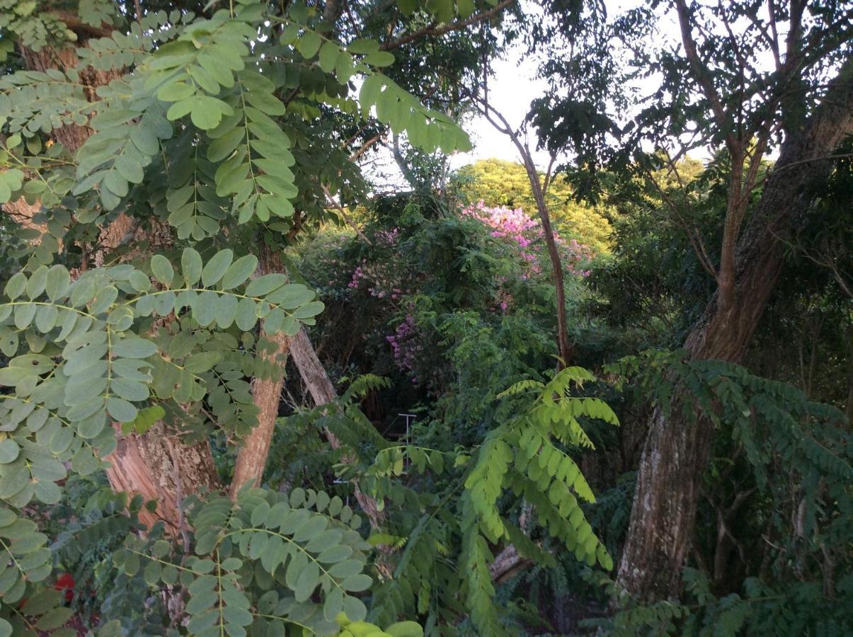 A Casa Amarela Villa Capelas Exterior photo
