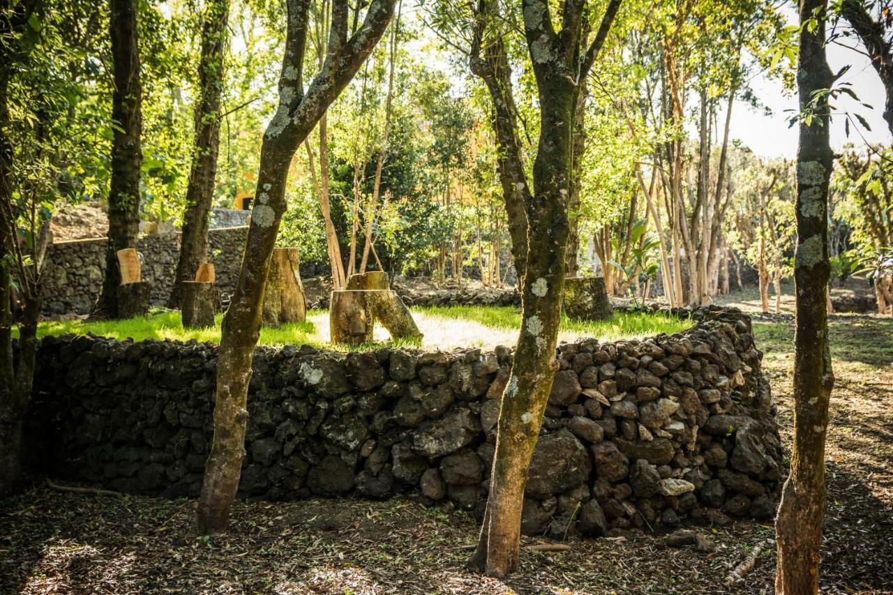 A Casa Amarela Villa Capelas Exterior photo